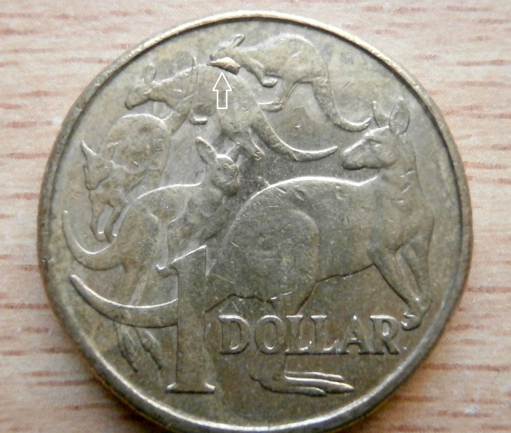 Post-Your-Australian-Circulation-Finds